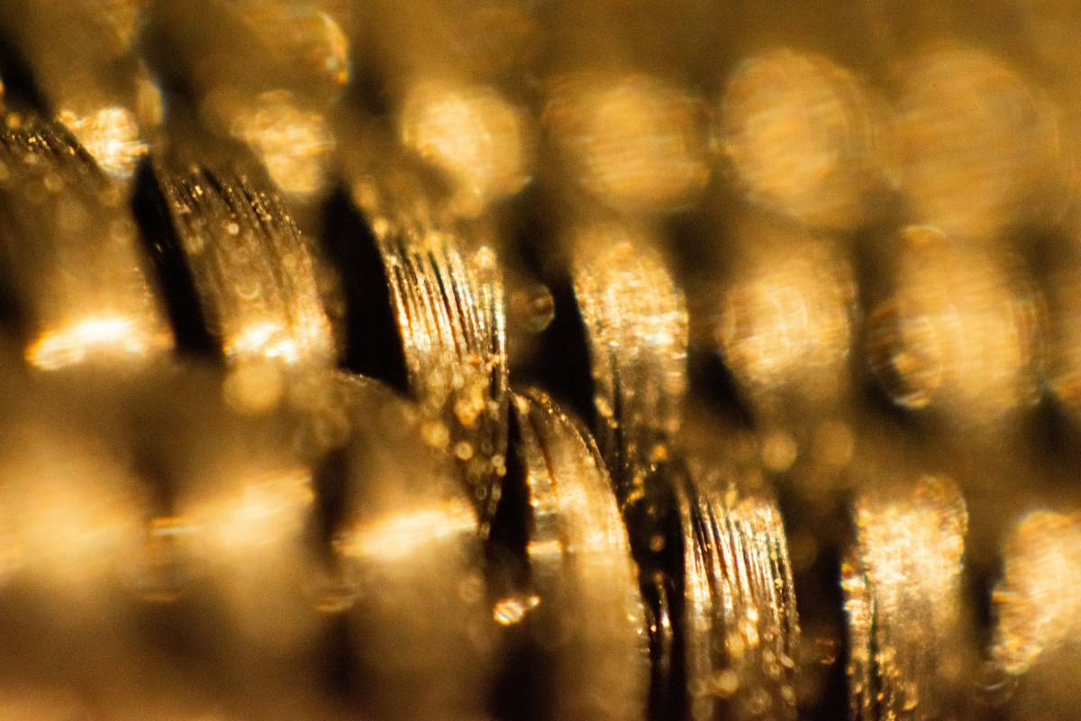 Infographic comparing payout percentages: pawn shops (40%), mall kiosks (50%), online gold trust buyers (85-95%) based on 2023 CPMI data